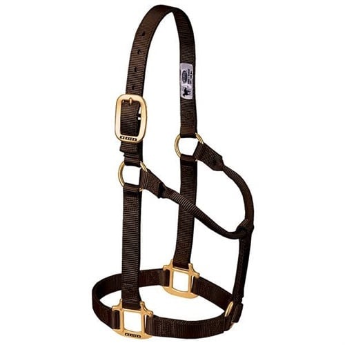 Halters & Leads