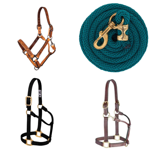Halters & Leads