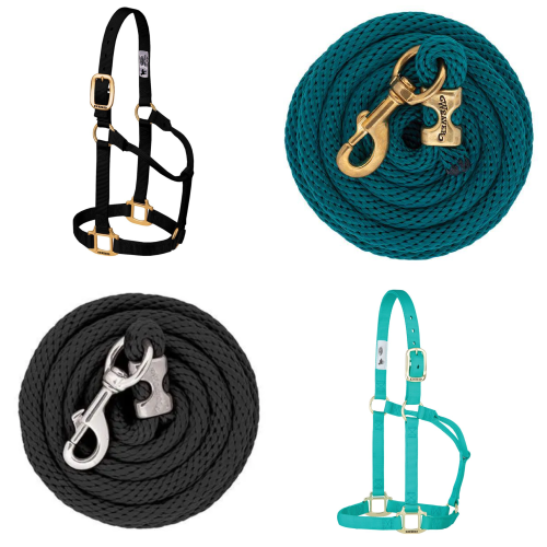 Nylon Halters & Leads
