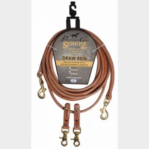 Training Reins
